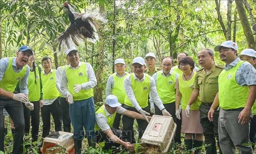 Vietnam ranks 16th in the world for biodiversity: Official